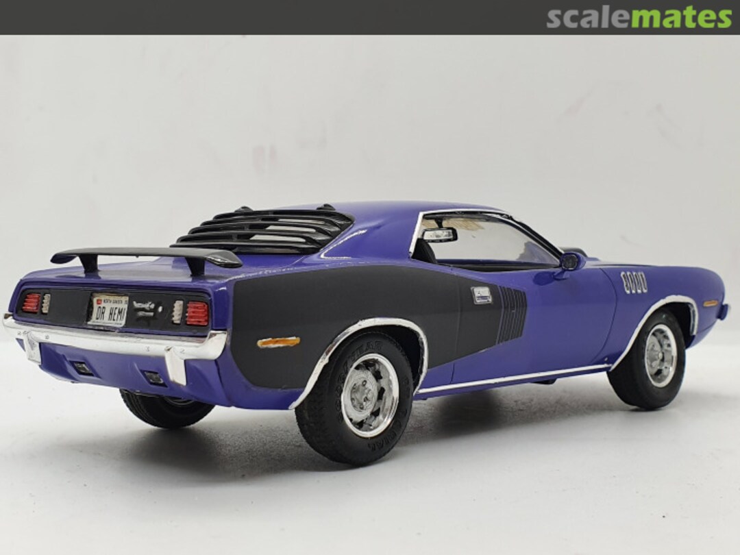 View album, image #1 View album, image #1