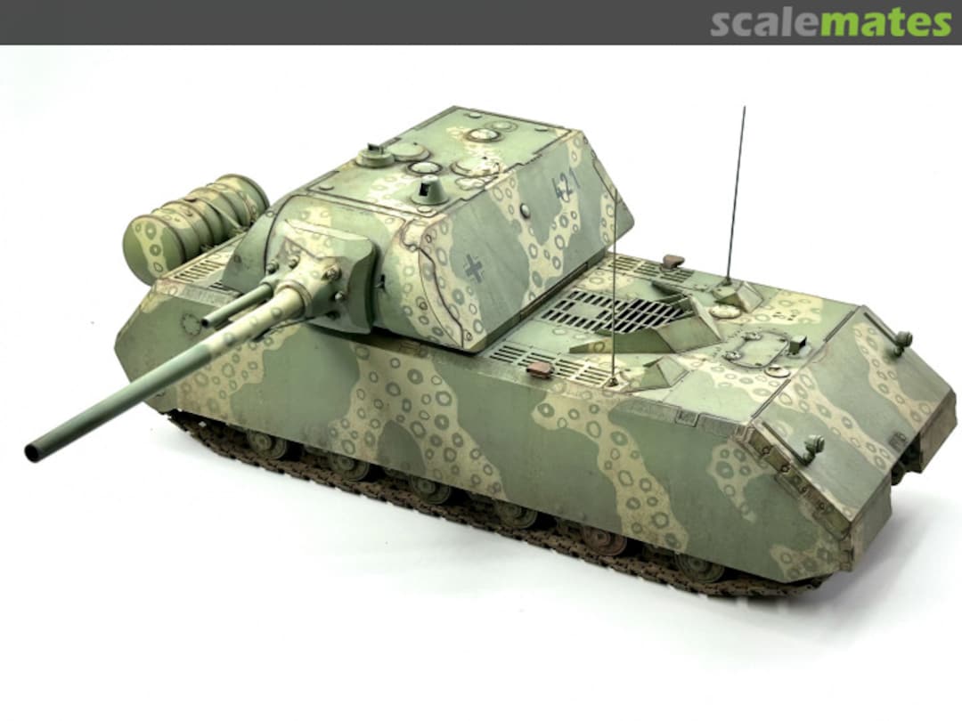 View album, image #1 View album, image #1