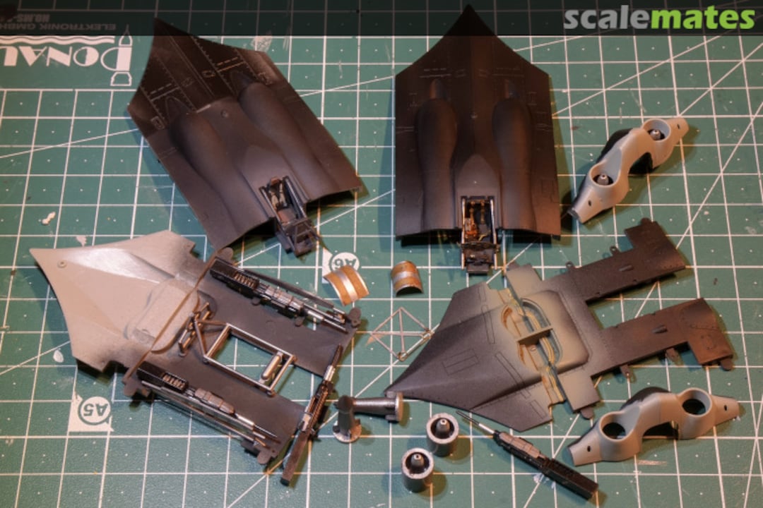 View album, image #1 View album, image #1