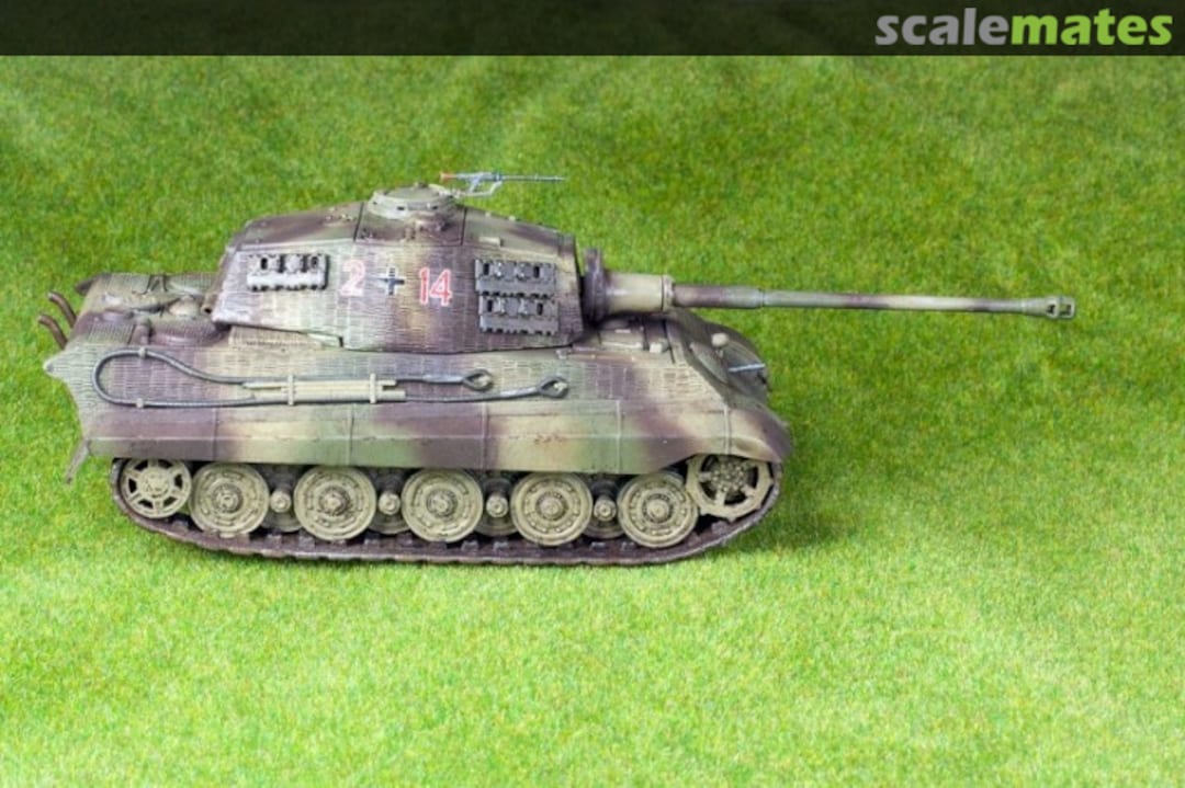 View album, image #1 View album, image #1