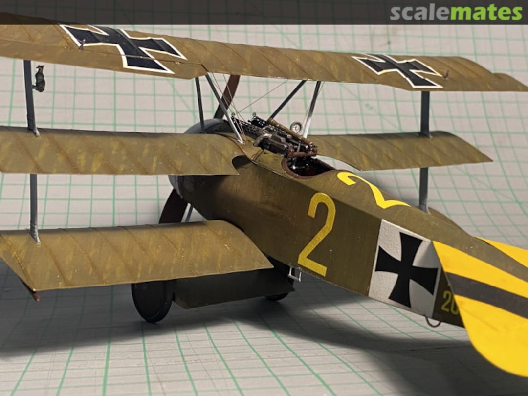 View album, image #38 View album, image #38