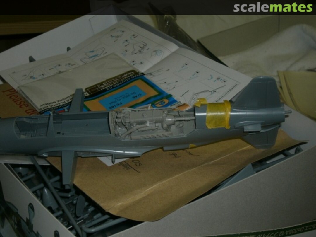 View album, image #1