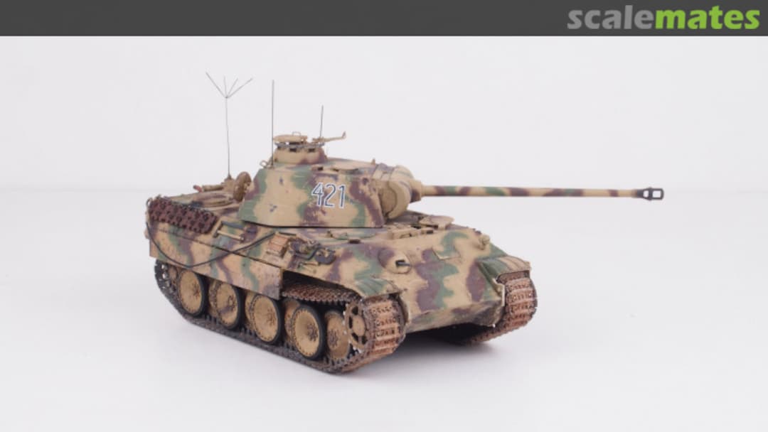 View album, image #1 View album, image #1