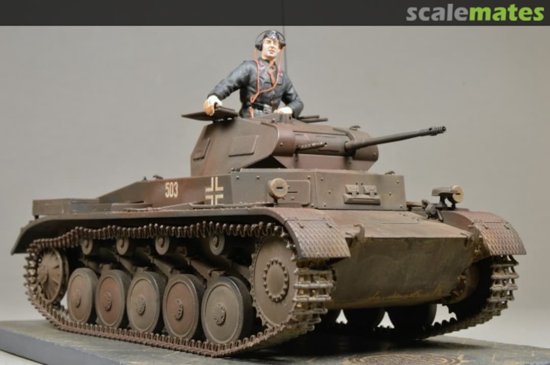 View album, image #13 View album, image #13