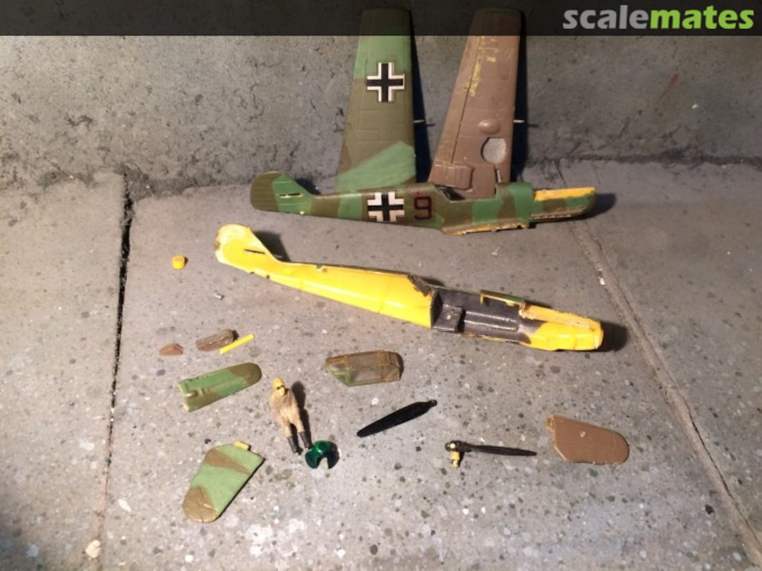 View album, image #1 View album, image #1