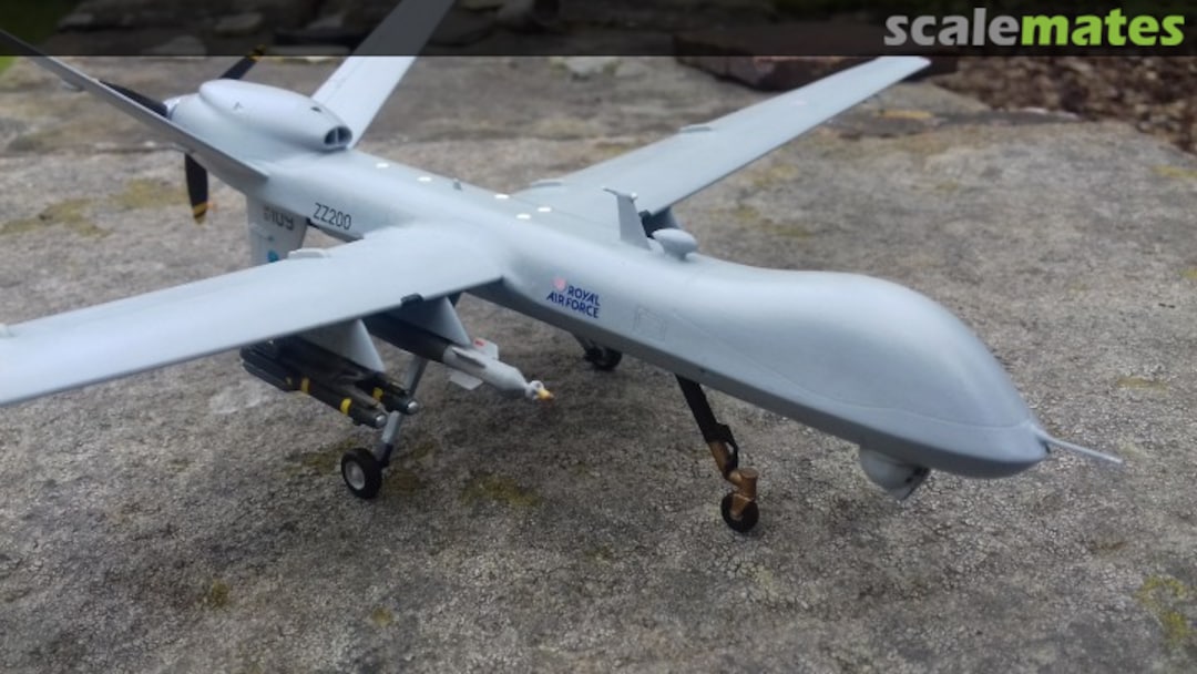 View album, image #12 View album, image #12