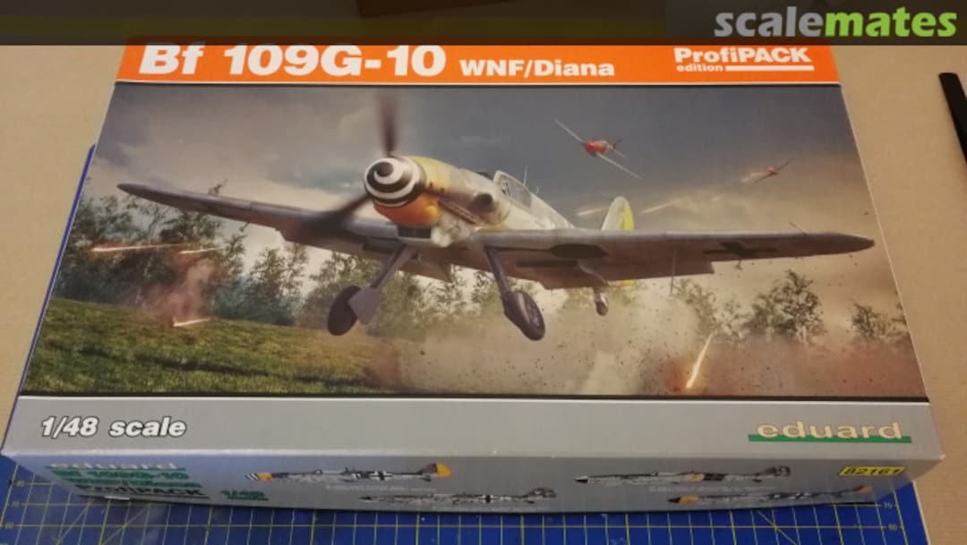 View album, image #1 View album, image #1