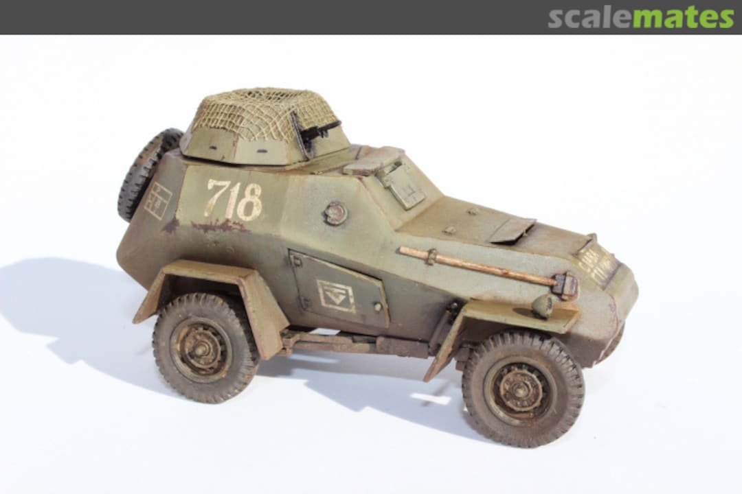 View album, image #8 View album, image #8