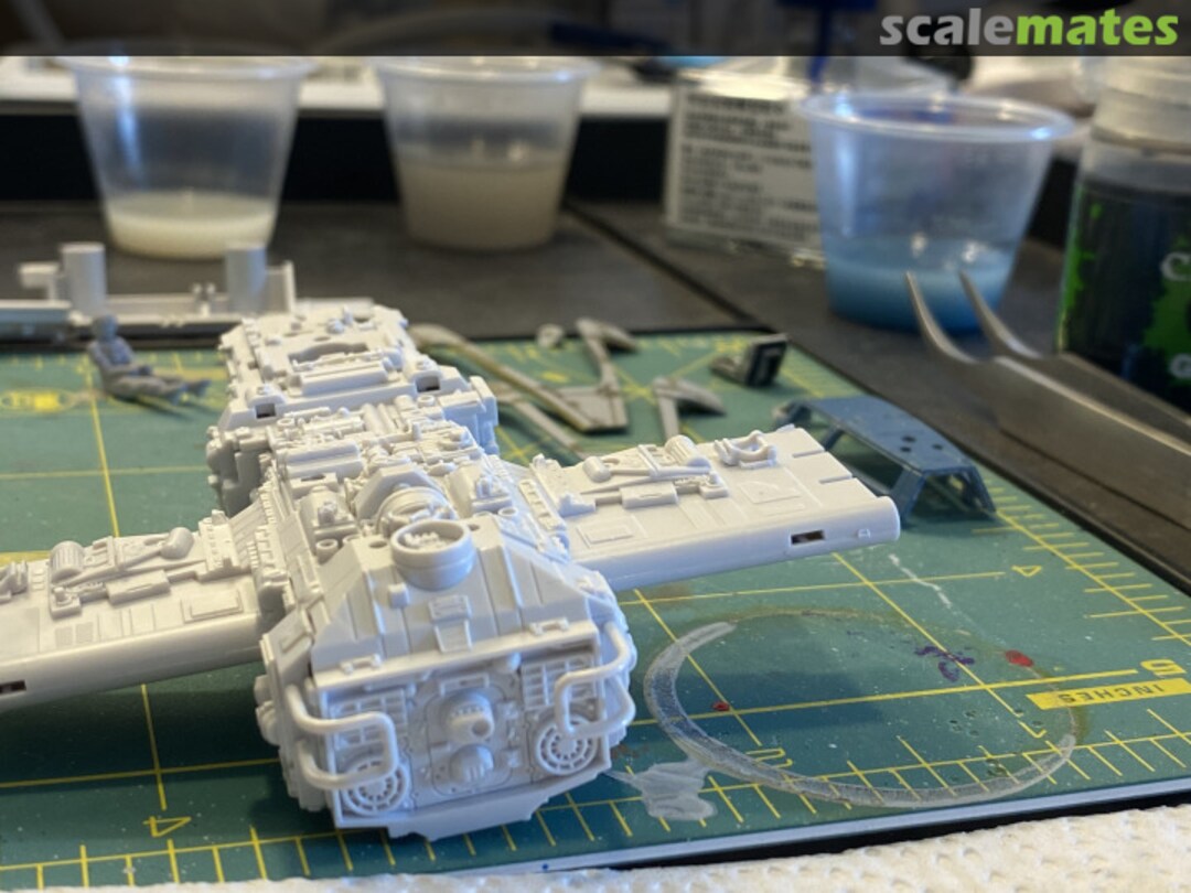 View album, image #1 View album, image #1