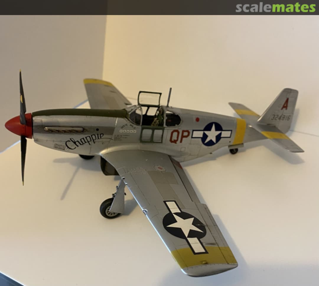 View album, image #14 View album, image #14