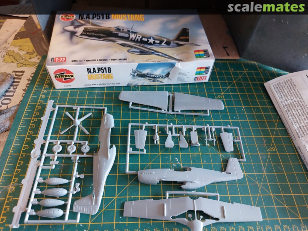 View album, image #1 View album, image #1