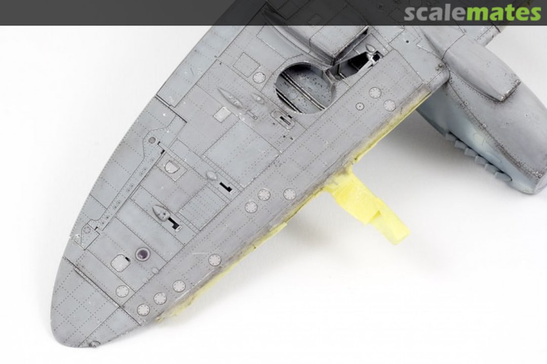 View album, image #1 View album, image #1