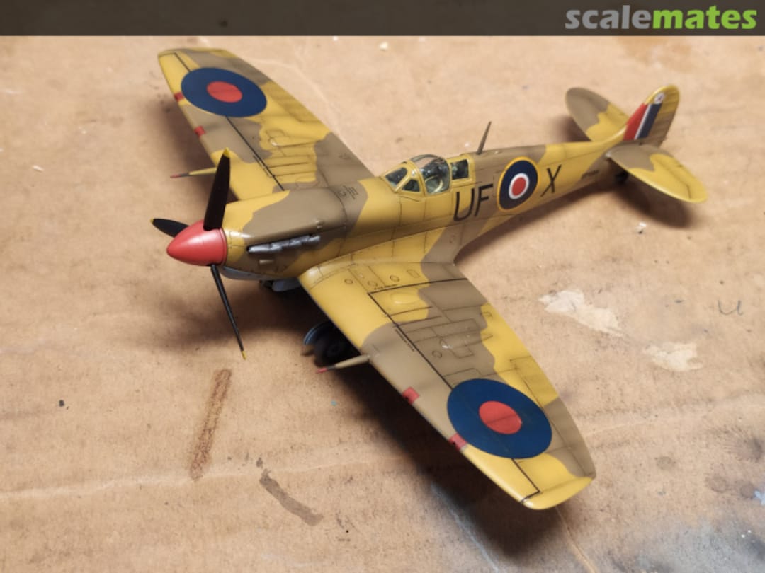 View album, image #1 View album, image #1