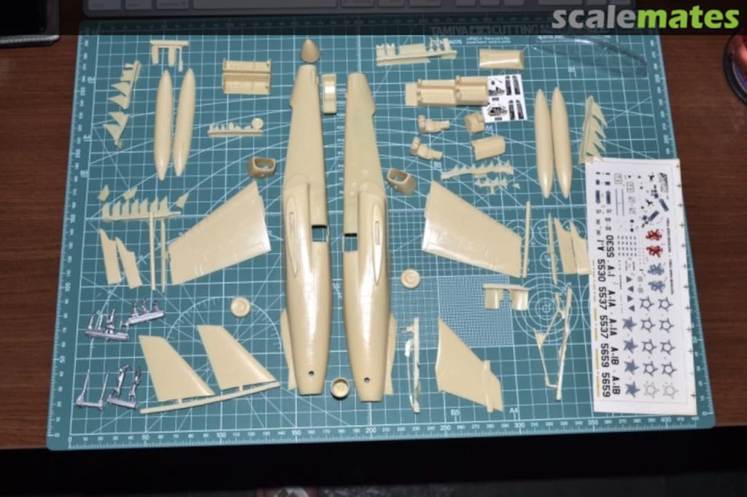 View album, image #1