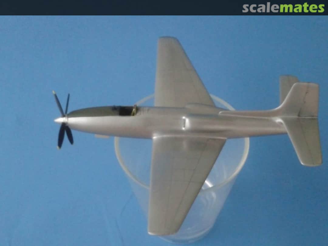 View album, image #1 View album, image #1