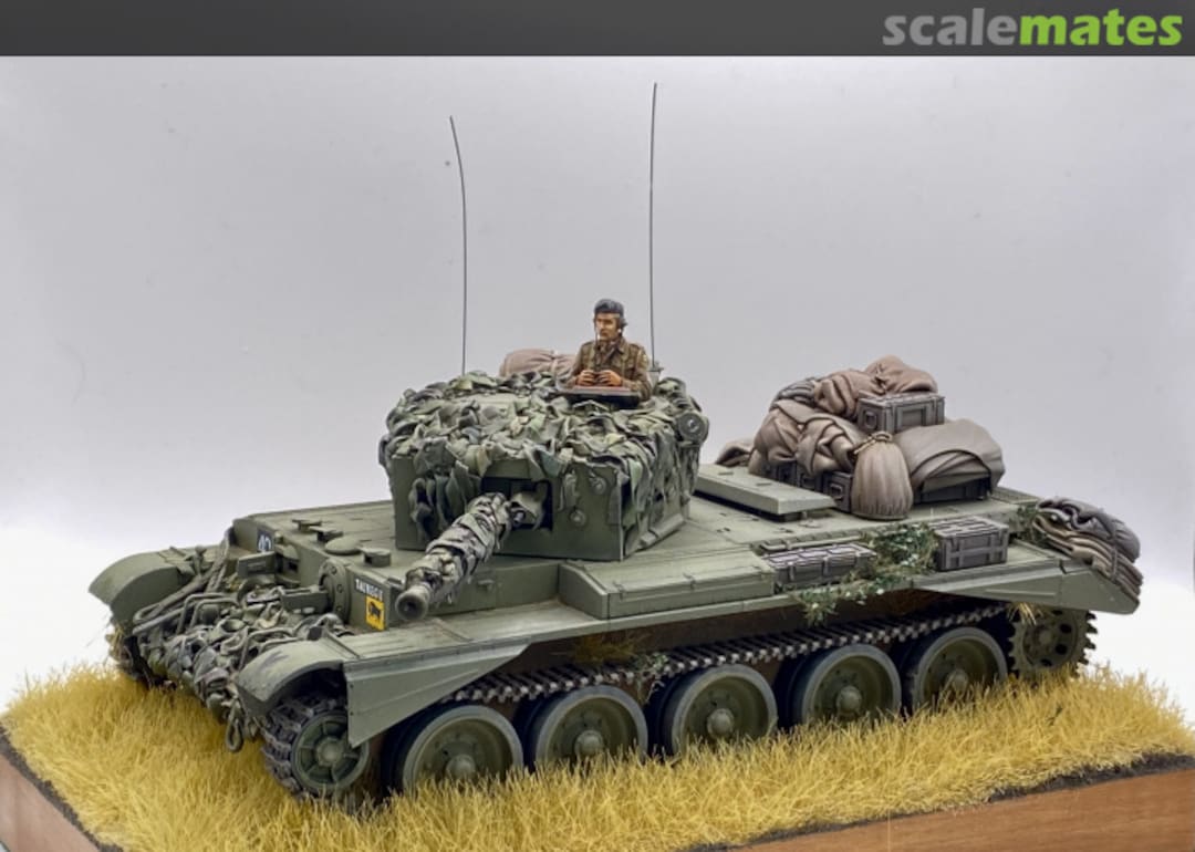 View album, image #14 View album, image #14