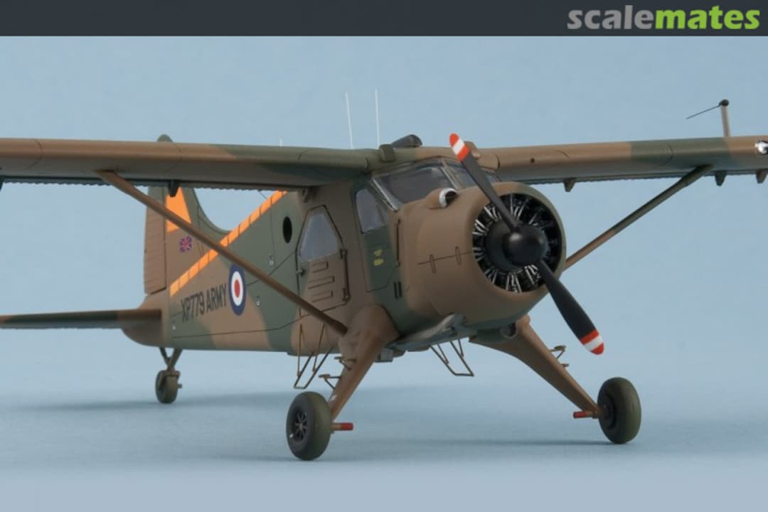 View album, image #1