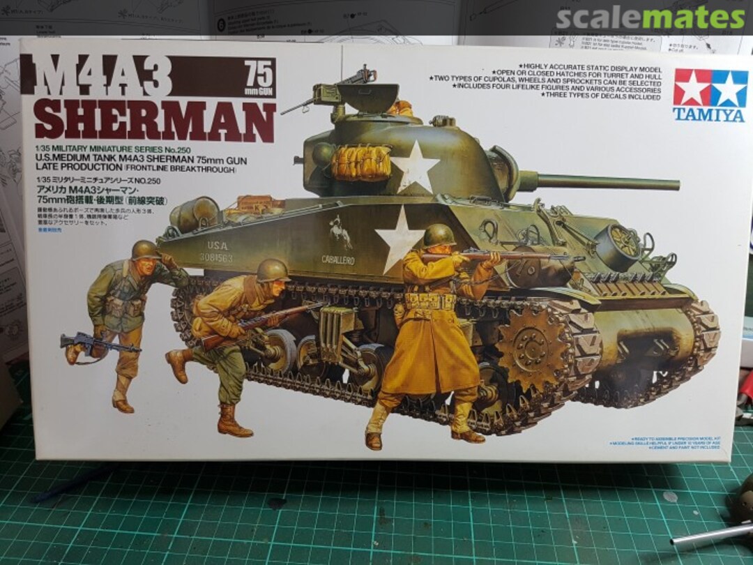 View album, image #1 View album, image #1