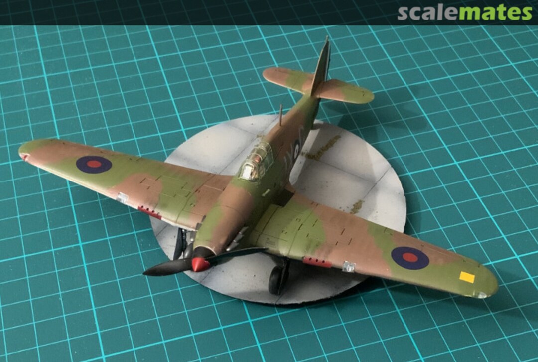 View album, image #7 View album, image #7