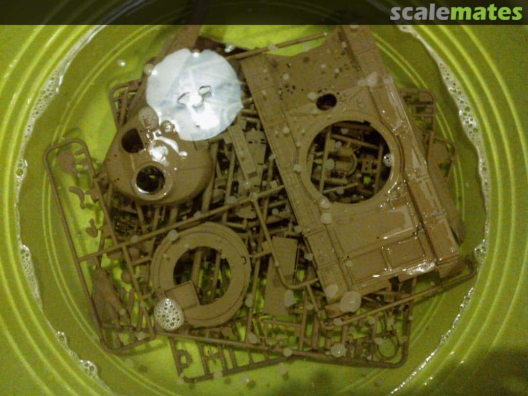 View album, image #1 View album, image #1