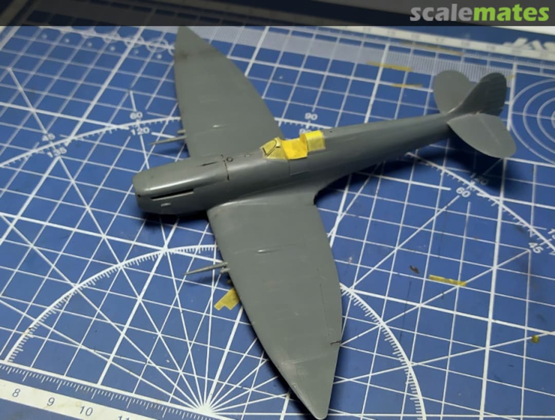 View album, image #1