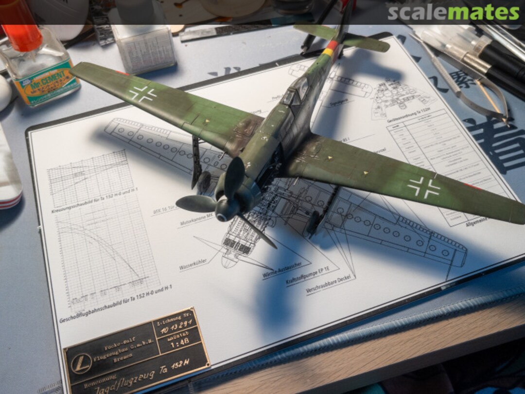 View album, image #27 View album, image #27