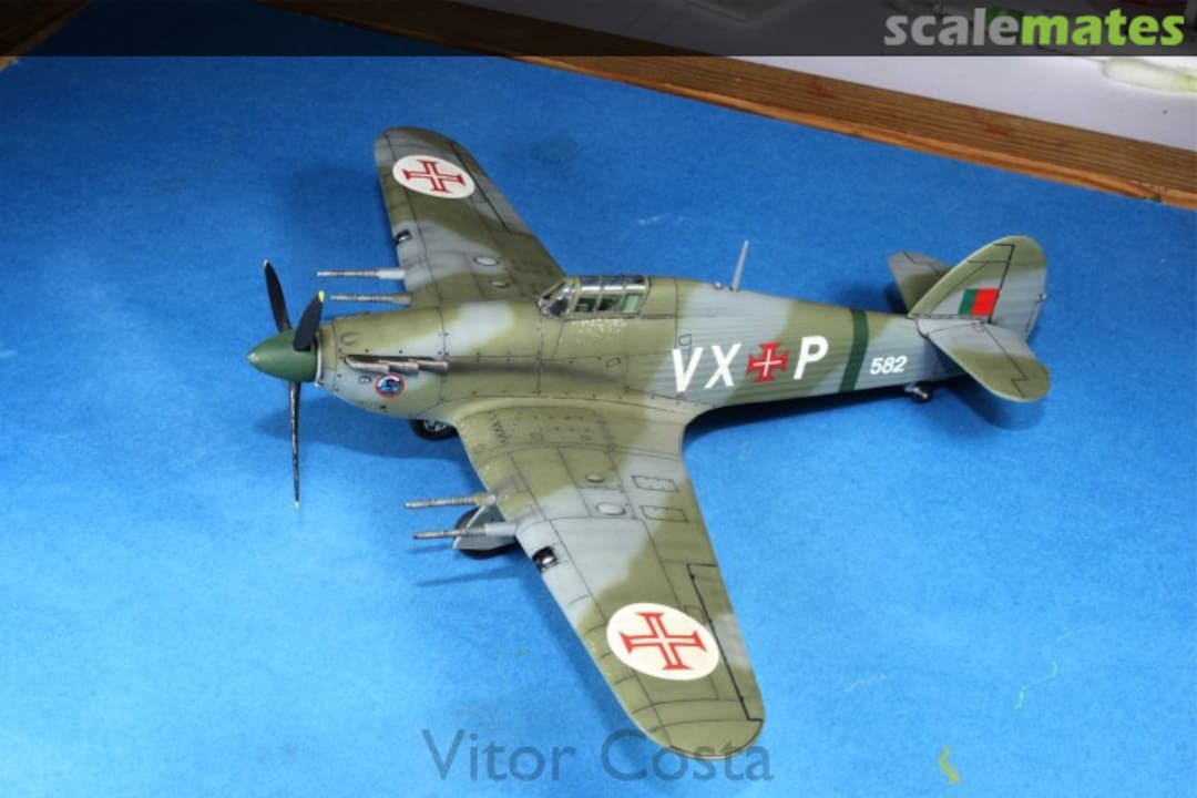 View album, image #1