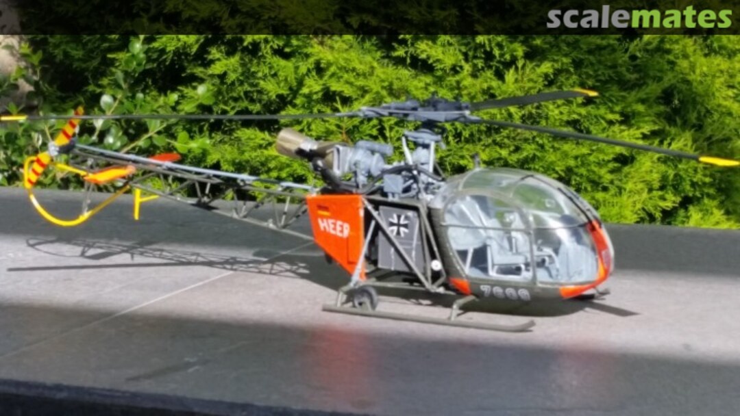 View album, image #7 View album, image #7