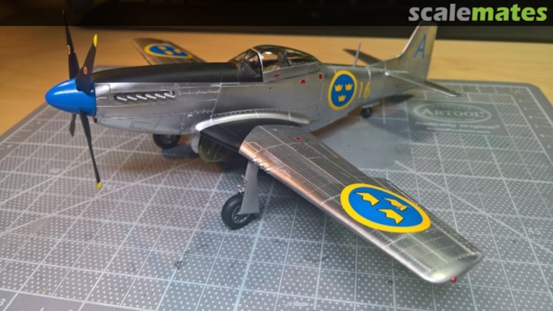 View album, image #13 View album, image #13