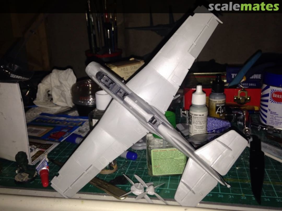 View album, image #7 View album, image #7