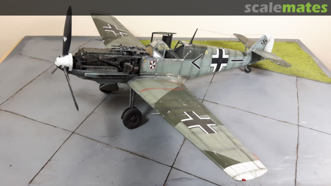 View album, image #1 View album, image #1