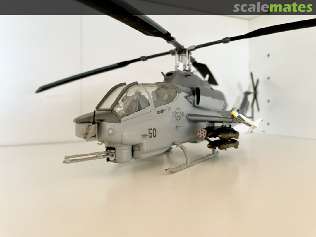 View album, image #1 View album, image #1