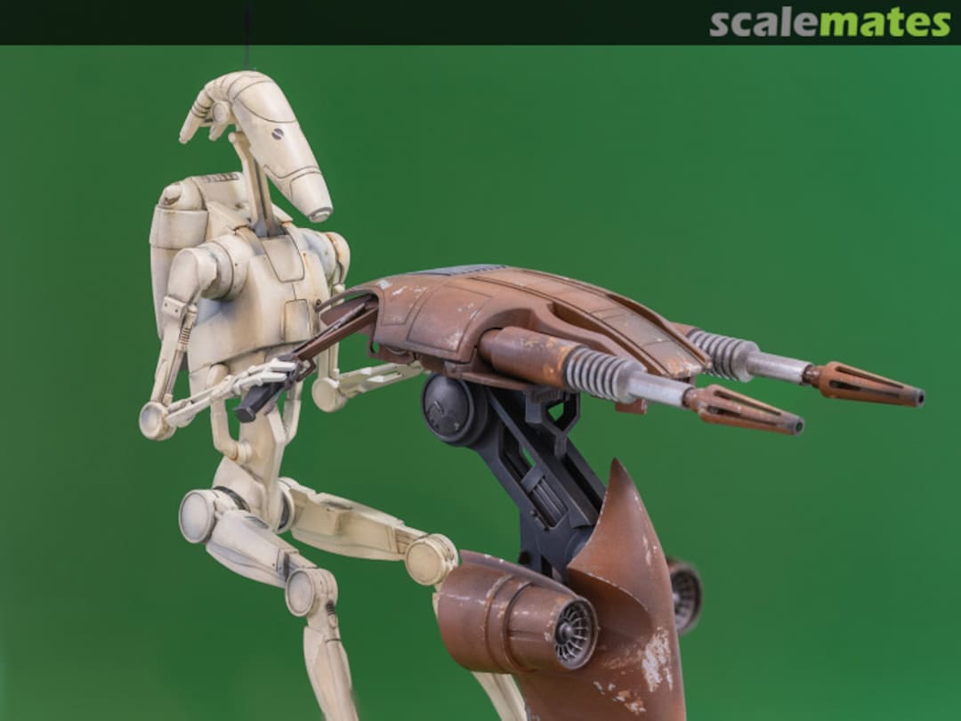 View album, image #12 View album, image #12