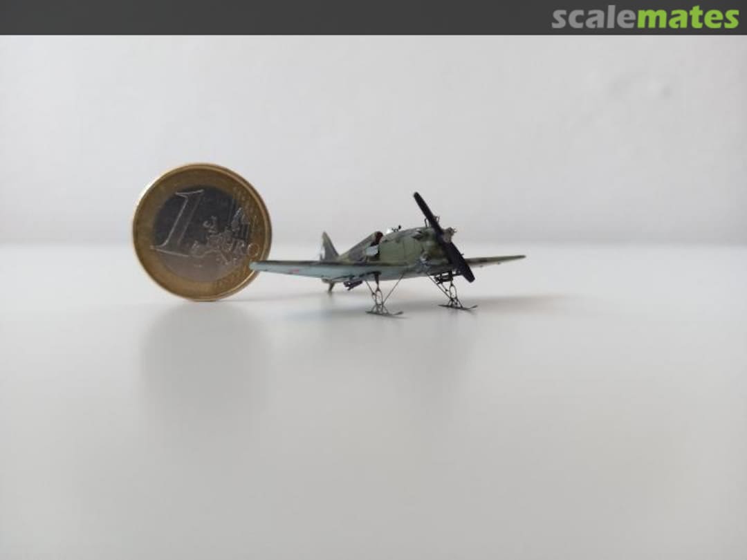 View album, image #7