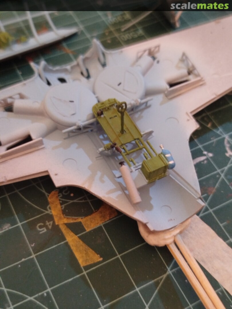 View album, image #1 View album, image #1