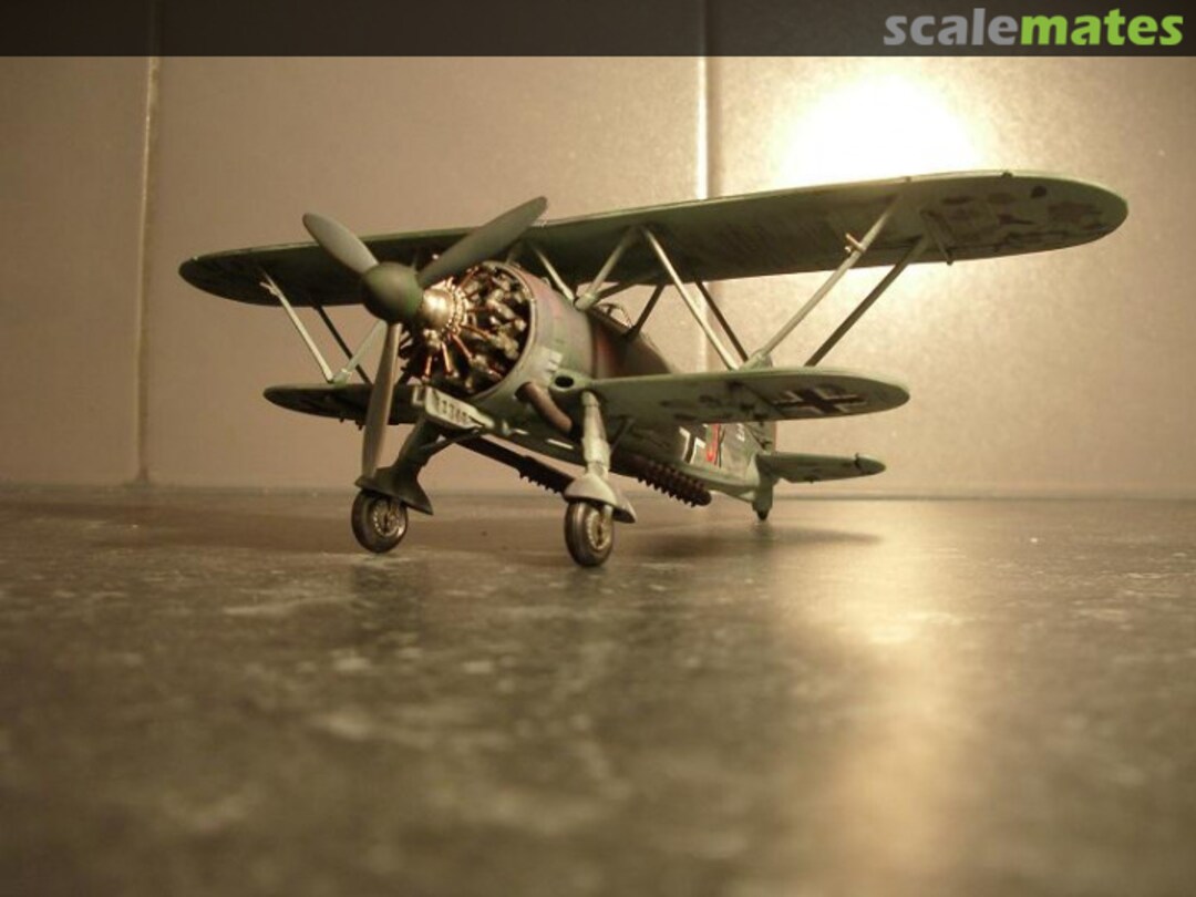 View album, image #1