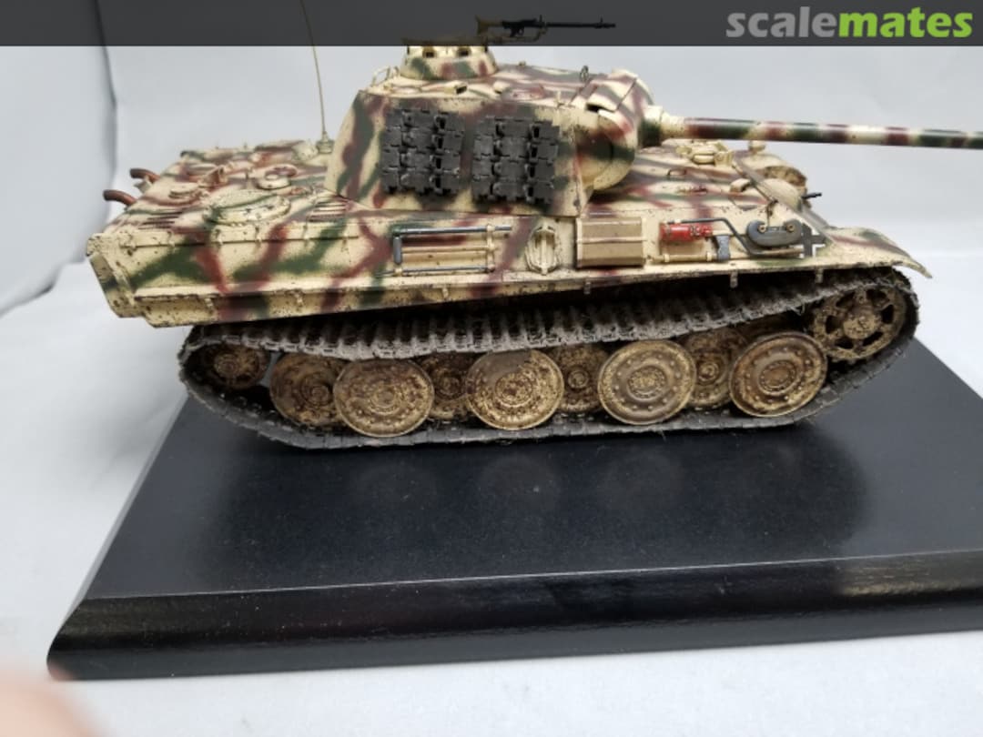 View album, image #1 View album, image #1