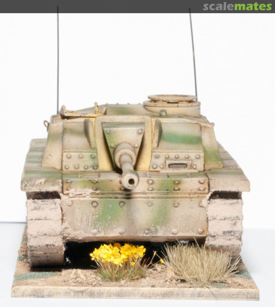 View album, image #1 View album, image #1