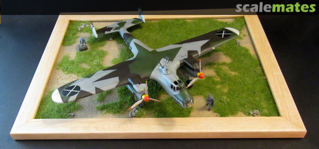 View album, image #7 View album, image #7