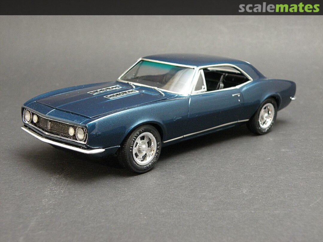 View album, image #1 View album, image #1