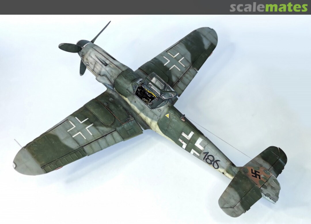 View album, image #1