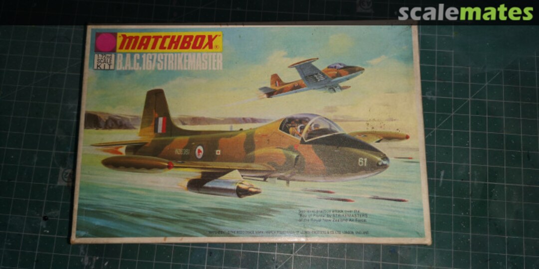 View album, image #1 View album, image #1