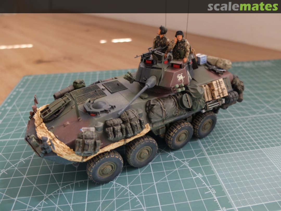 View album, image #37 View album, image #37