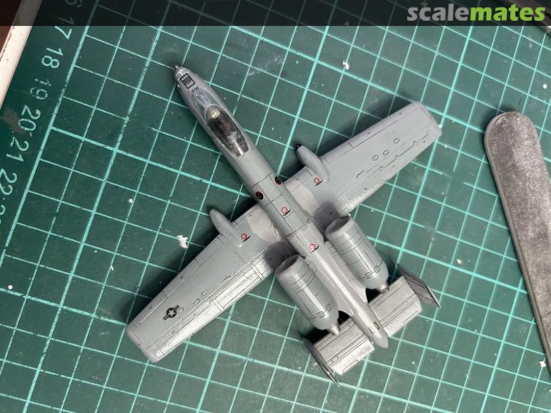 View album, image #1 View album, image #1