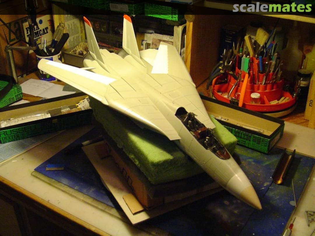 View album, image #1 View album, image #1