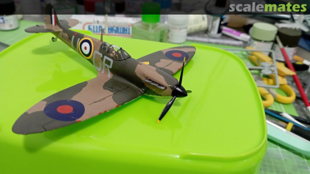 View album, image #6 View album, image #6