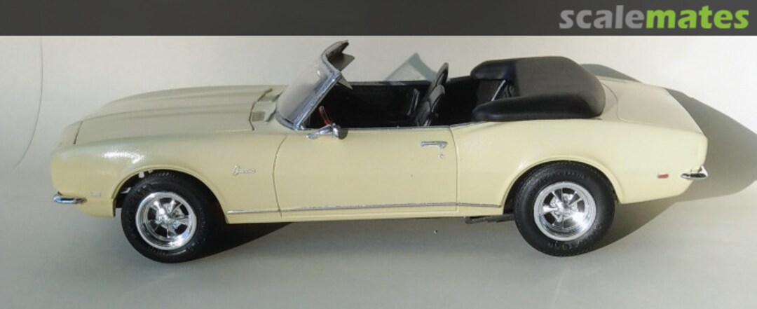 View album, image #3