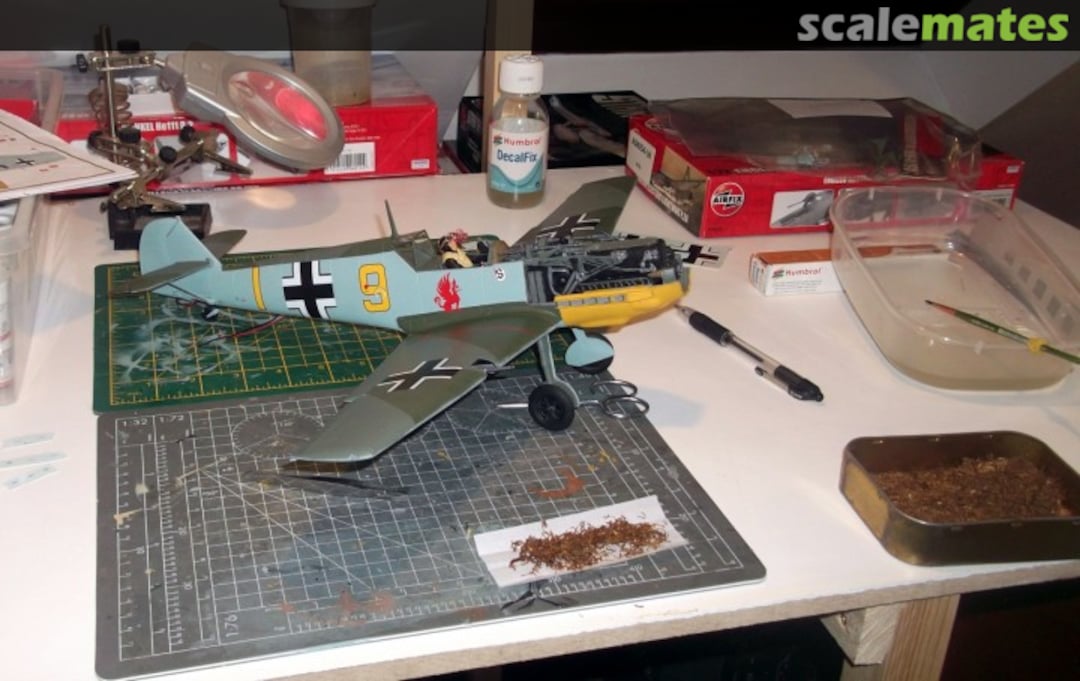 View album, image #1 View album, image #1