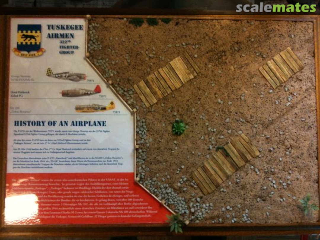 View album, image #1 View album, image #1