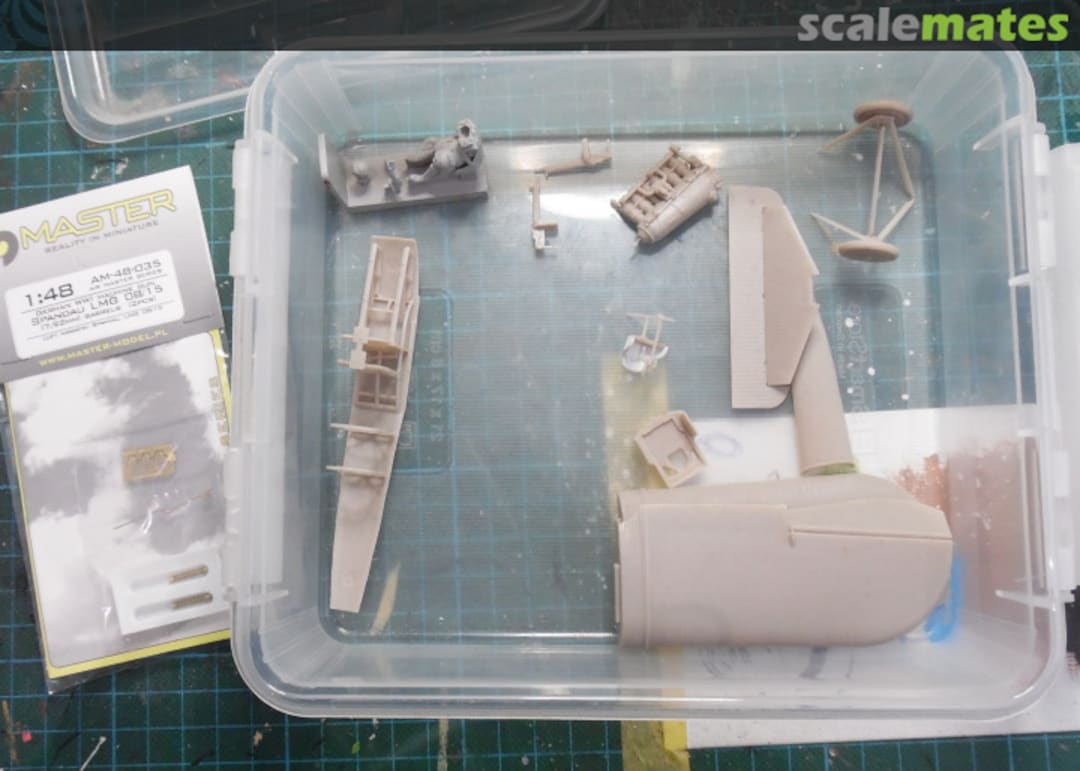 View album, image #1 View album, image #1